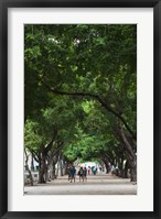 Framed Cuba, Havana, Havana Vieja, Paseo de Marti walkway