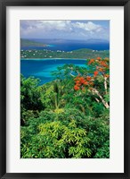 Framed Magens Bay, St Thomas, Caribbean