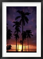 Framed Palm Trees at Sunset, Puerto Rico