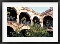 Framed Balcony with Flowers and Trees, Puerto Rico