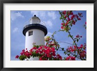 Framed Puerto Rico, Viegues Island, lighthouse of Rincon