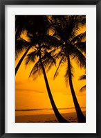 Framed Sunset and Palms, San Juan, Puerto Rico