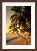 Framed Beach at Sunset, Trinidad, Caribbean