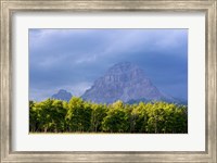 Framed Crowsnest Mountain at Crownest Pass in Alberta, Canada