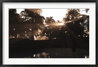 Framed Late Devonian sun sets behind a forest of Archaeopteris plants