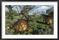 Framed Prehistoric glyptodonts graze on grassy plains An Eremotherium is in the background