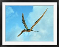 Framed Zhenyuanopterus, a genus of pterosaur from the Cretaceous Period