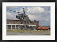 Framed Sea Lynx and Sea King Helicopters of the German Navy