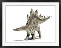 Framed 3D Rendering of a Stegosaurus Dinosaur