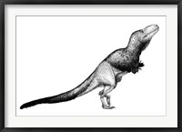 Framed Black Ink Drawing of Daspletosaurus Torosus
