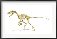 Framed 3D Rendering of a Velociraptor Dinosaur Skeleton