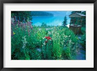 Framed Emerald Lake, Yoho National Park, British Columbia