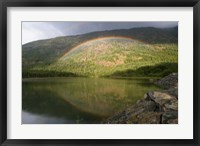 Framed Buttle Lake, Vancouver Isl, British Columbia