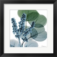 Framed Lilly Of Eucalyptus