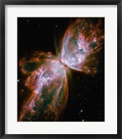 Framed Butterfly Nebula