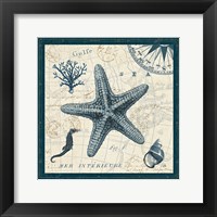 Ocean Life V Framed Print