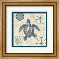 Framed 'Ocean Life VI' border=