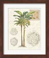 Framed 'Vintage Palm Study I' border=