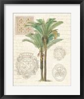 Vintage Palm Study II Framed Print