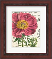 Framed 'Peony Botany' border=