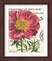 Framed 'Peony Botany' border=