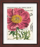 Framed 'Peony Botany' border=