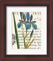 Framed 'Iris Letter' border=