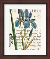 Framed 'Iris Letter' border=