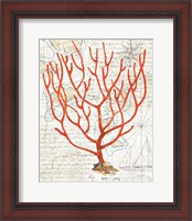 Framed 'Textured Coral I' border=