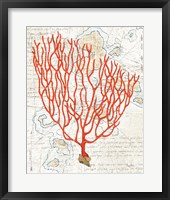 Textured Coral IV Framed Print