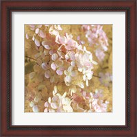 Framed 'Gilded Hydrangea I' border=