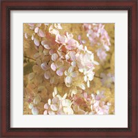 Framed 'Gilded Hydrangea I' border=