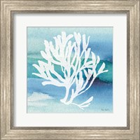 Framed 'Sea Life Coral I' border=