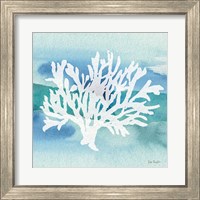 Framed 'Sea Life Coral II' border=