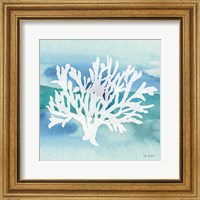 Framed 'Sea Life Coral II' border=