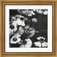 Framed 'Bloom' border=