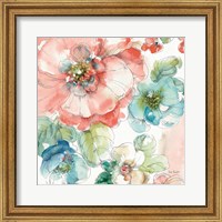 Framed 'Summer Bloom II' border=