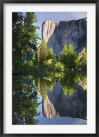 Framed El Capitan reflected in Merced River Yosemite NP, CA