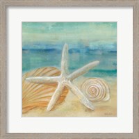 Framed Horizon Shells I