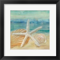 Horizon Shells I Framed Print