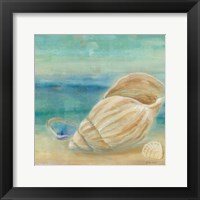 Horizon Shells II Framed Print