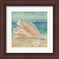 Framed 'Horizon Shells III' border=