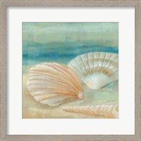 Framed 'Horizon Shells IV' border=