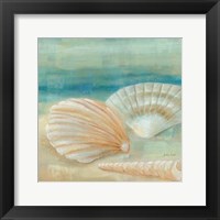 Horizon Shells IV Framed Print