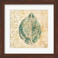 Framed Leaf  Scroll I