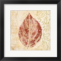 Framed 'Leaf Scroll II' border=