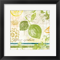 Fruit Crush II Framed Print