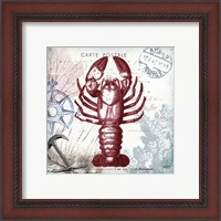 Framed 'Coastal Sea Life III' border=