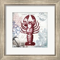 Framed 'Coastal Sea Life III' border=