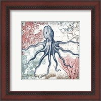 Framed 'Coastal Sea Life V' border=